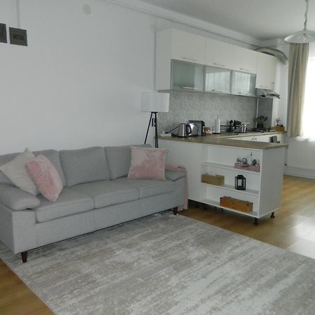 Magda Apartment シビウ エクステリア 写真