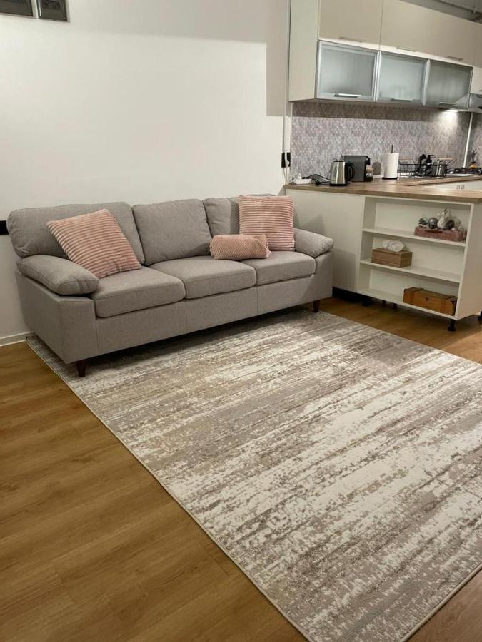 Magda Apartment シビウ エクステリア 写真