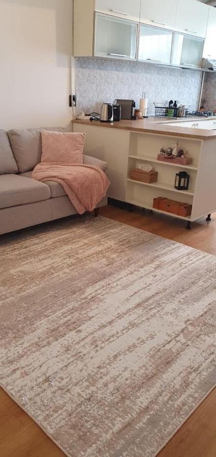 Magda Apartment シビウ エクステリア 写真