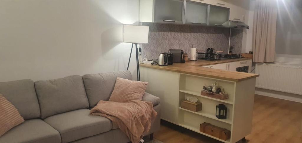 Magda Apartment シビウ エクステリア 写真