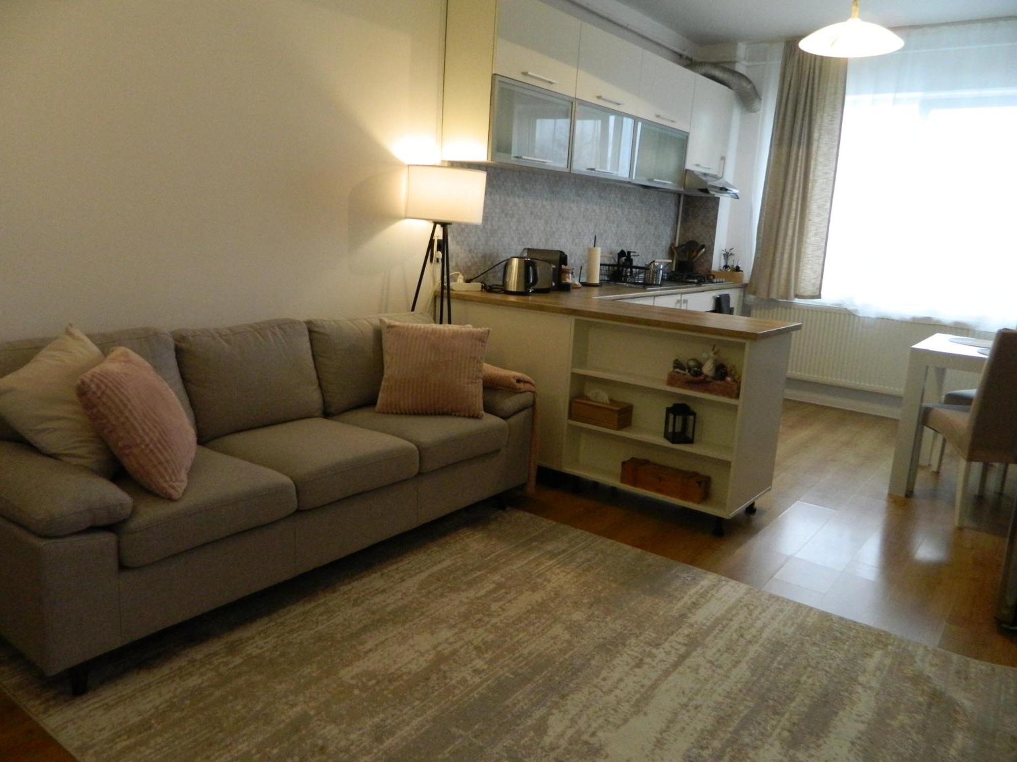 Magda Apartment シビウ エクステリア 写真